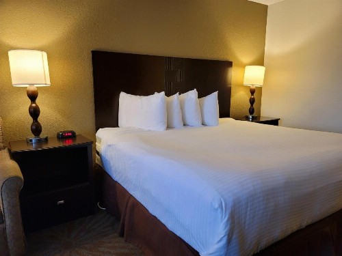 Best Western Plus Seville Plaza Hotel - image 41