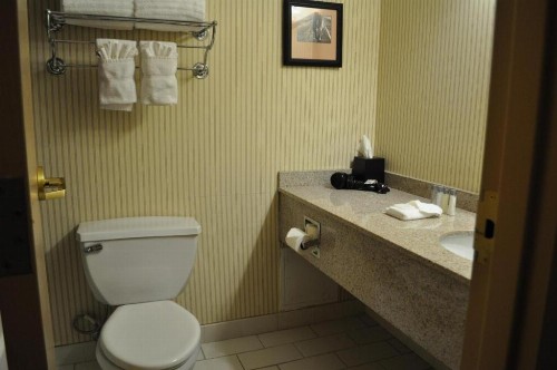 Adams Mark Hotel And Conference Center - image 31