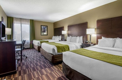 Comfort Inn & Suites Near Worlds of Fun - image 10