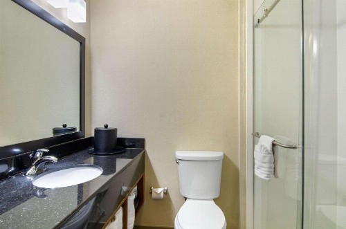 Comfort Inn & Suites Near Worlds of Fun - image 11