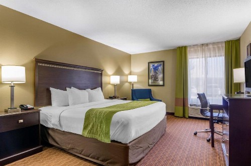 Comfort Inn & Suites Near Worlds of Fun - image 15