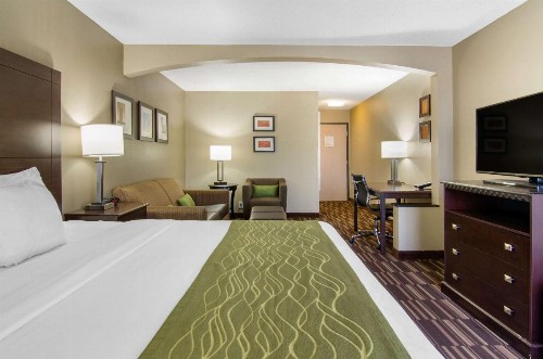 Comfort Inn & Suites Near Worlds of Fun - image 19