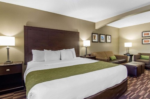 Comfort Inn & Suites Near Worlds of Fun - image 20