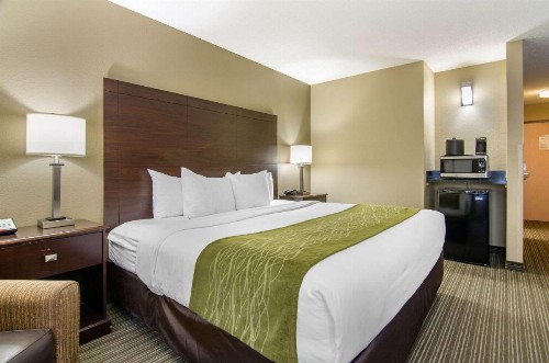 Comfort Inn & Suites Near Worlds of Fun - image 27