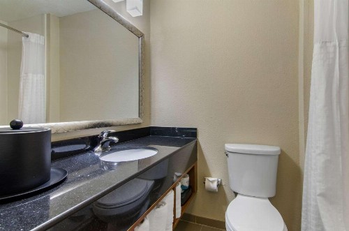 Comfort Inn & Suites Near Worlds of Fun - image 33