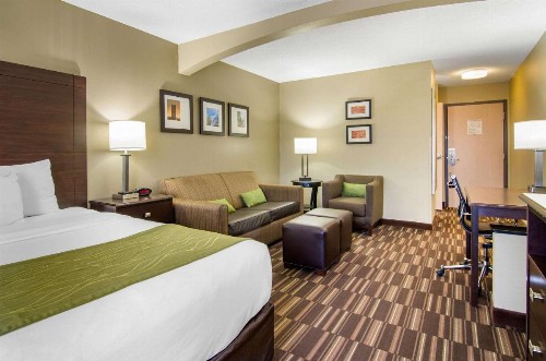 Comfort Inn & Suites Near Worlds of Fun - image 5