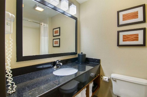 Comfort Inn & Suites Near Worlds of Fun - image 9