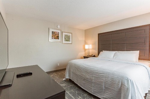 SureStay Plus Hotel by Best Western Kansas City Airport - image 33