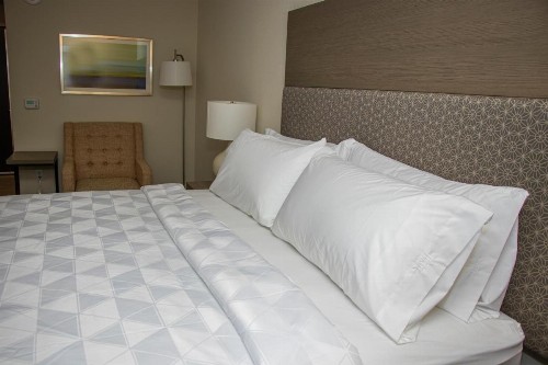 Holiday Inn - Kansas City - Northeast an IHG Hotel - image 11