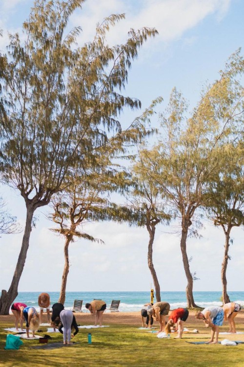 Kauai Shores Hotel - image 18