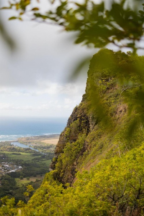 Kauai Shores Hotel - image 38