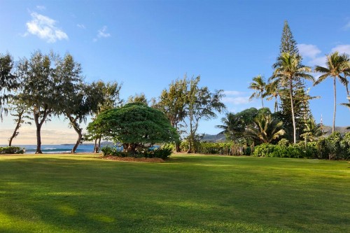 Kauai Shores Hotel - image 50