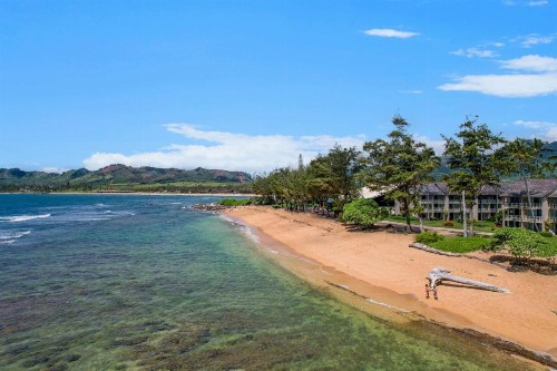 Aston Islander On The Beach - image 32