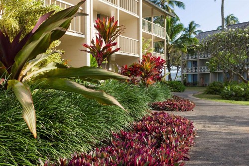 Aston Islander On The Beach - image 47