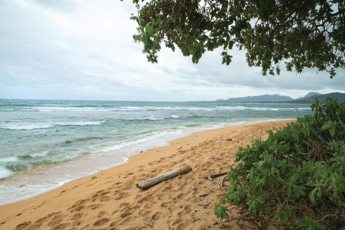 Kauai Coast Resort at the Beach Boy - image 13