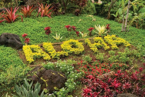 Kauai Coast Resort at the Beach Boy - image 50