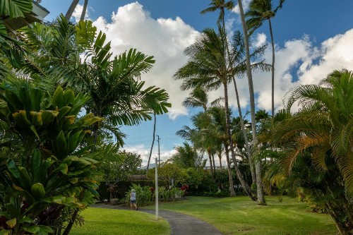 Plantation Hale Suites - image 39