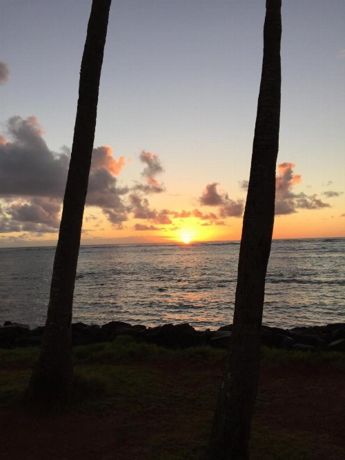 Hotel Coral Reef - image 26