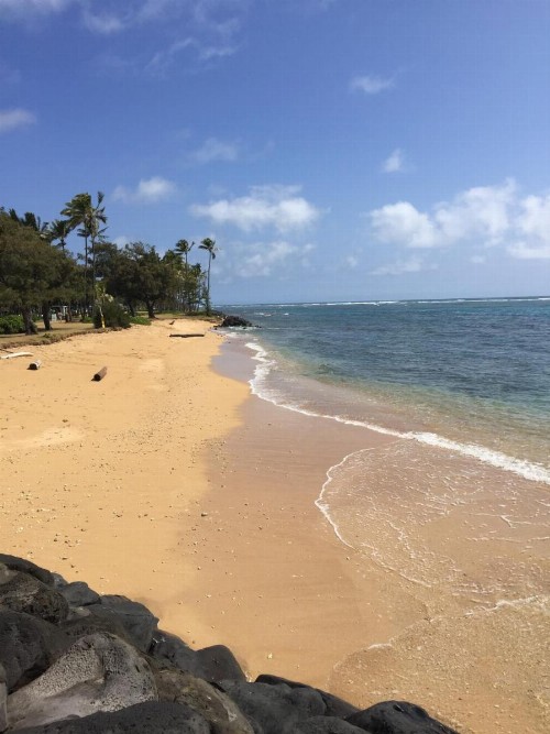 Hotel Coral Reef - image 28