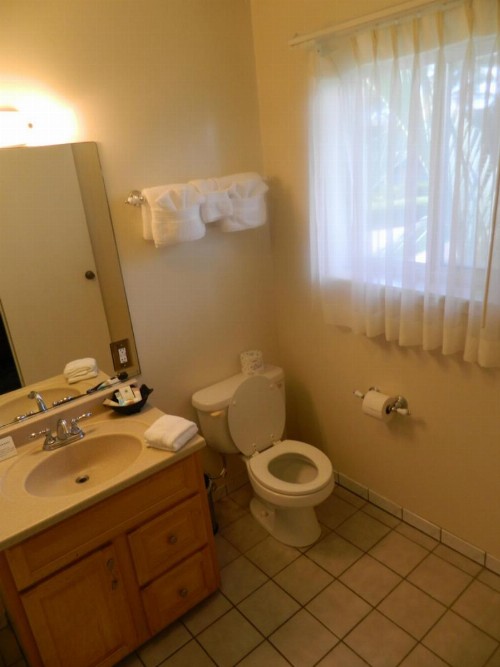 Hotel Coral Reef - image 29