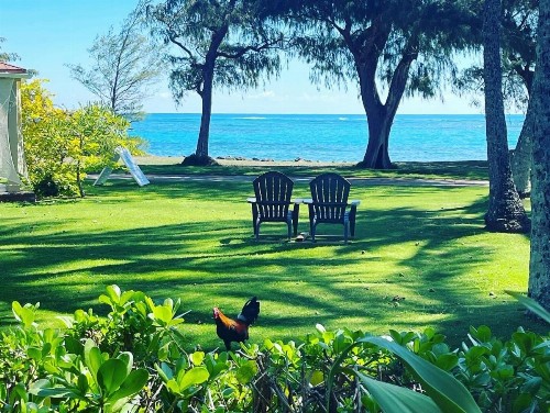 Hotel Coral Reef - image 43