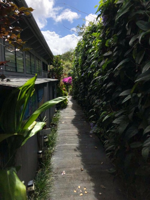 The Secret Garden Room - image 24