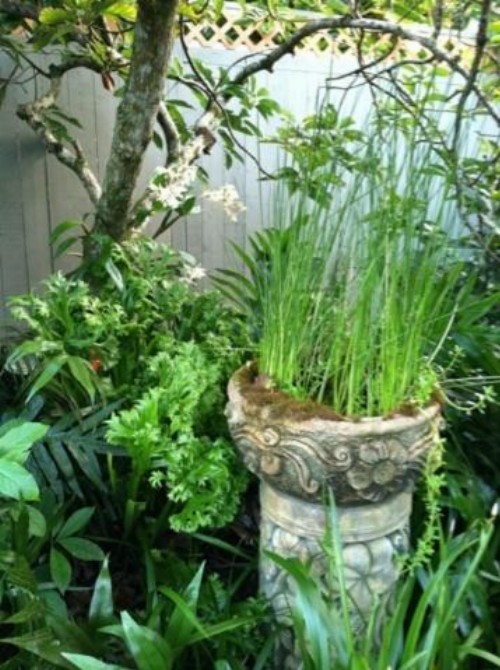 The Secret Garden Room - image 36