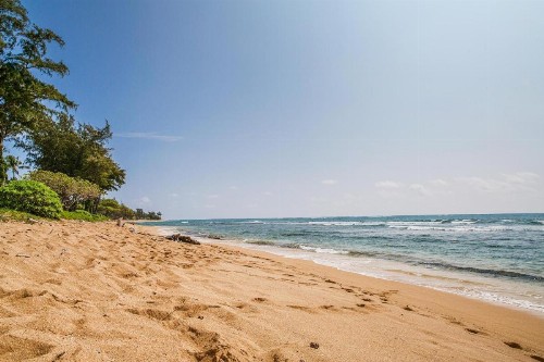 Islander on the Beach #348 Oceanfront - image 6