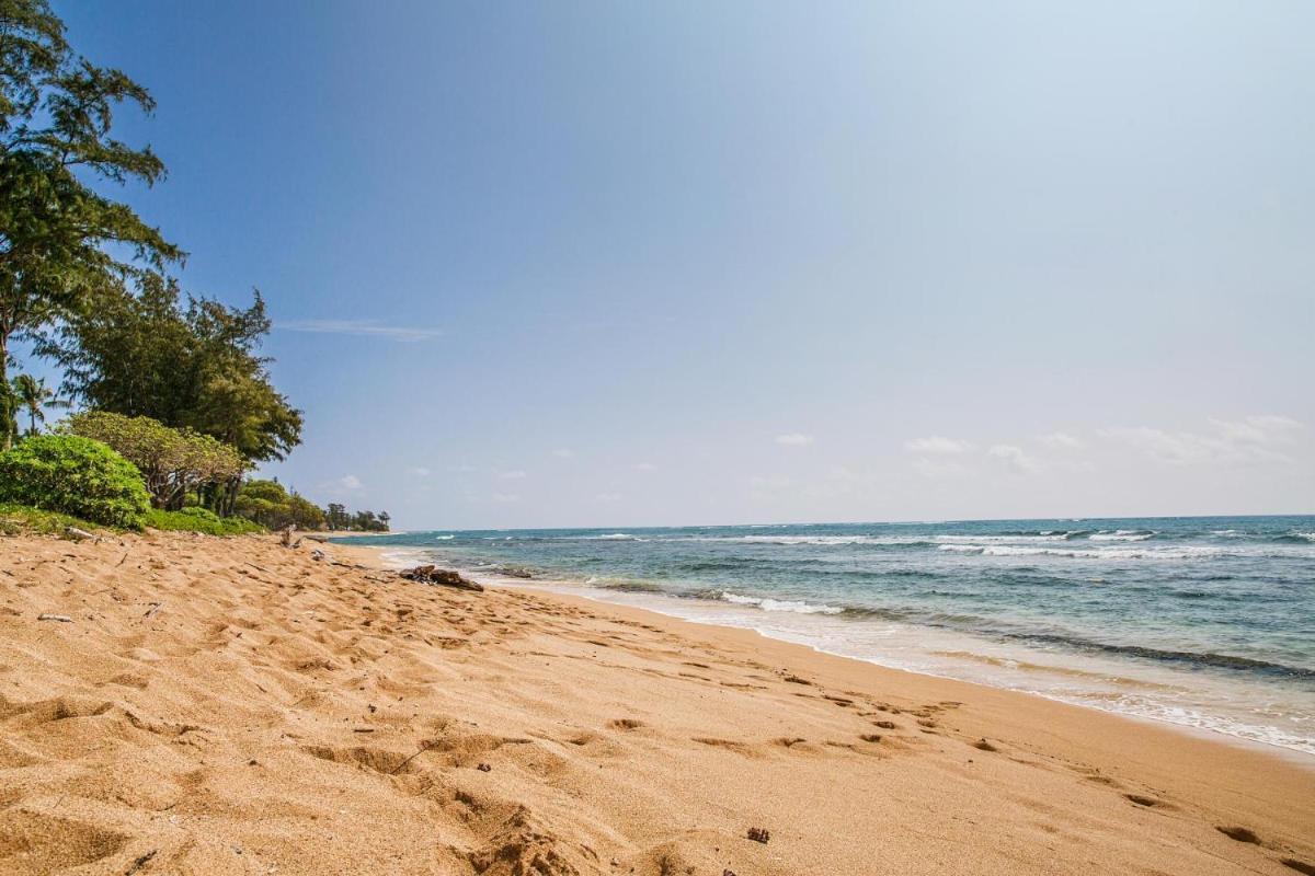 Islander on the Beach #348 Oceanfront - image 6