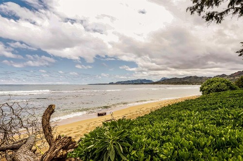 Islander on the Beach - image 11