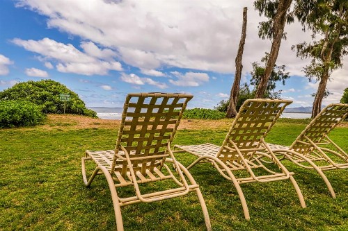 Islander on the Beach - image 8