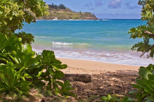 Moloa'a Bay Villa and Cottage - image 11