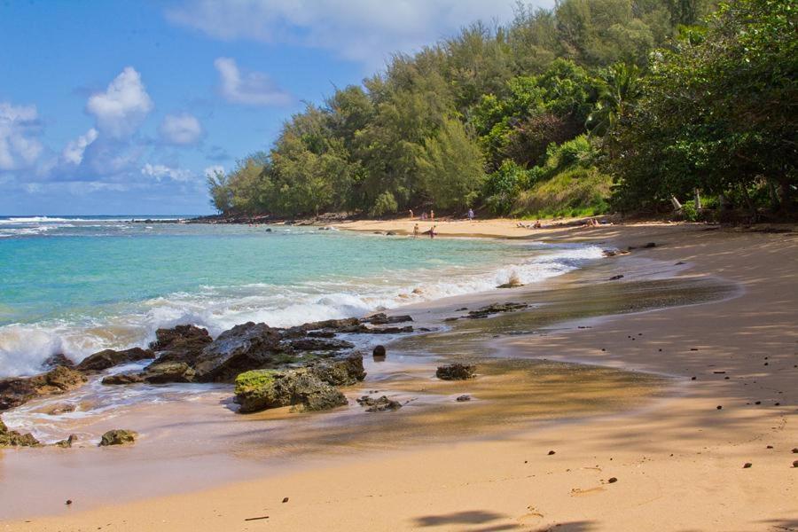Moloa'a Bay Villa - image 3