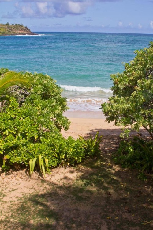 Moloa'a Bay Villa - image 2
