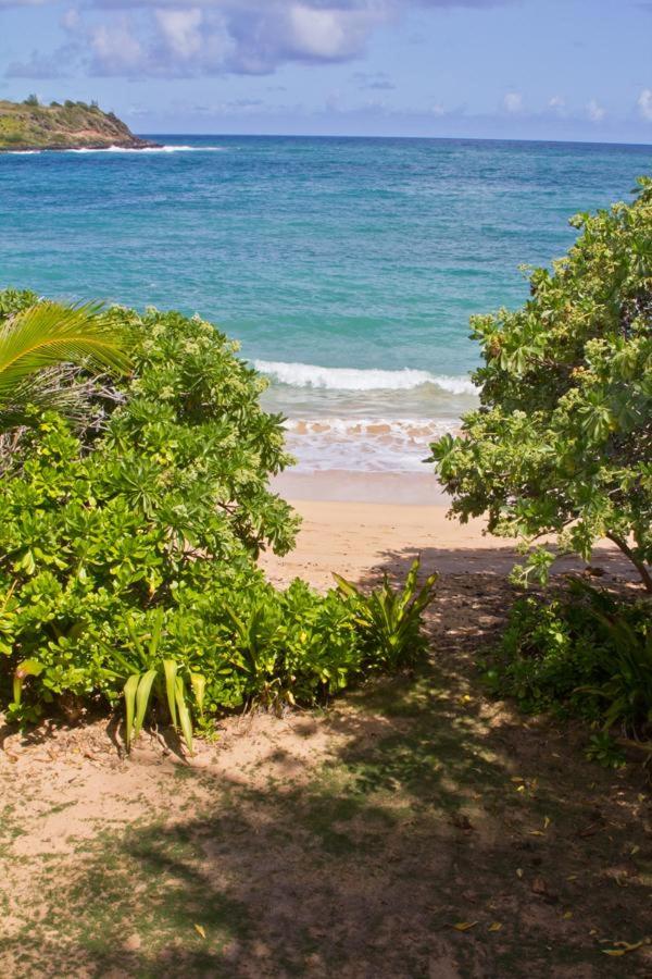 Moloa'a Bay Villa - image 2