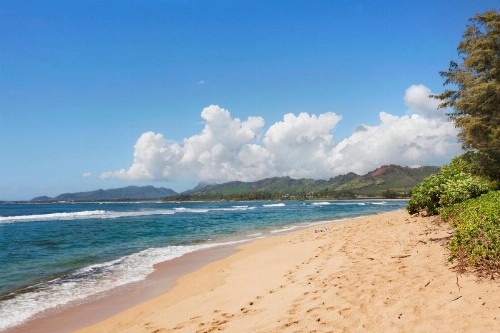 Islander on the Beach 352 OCEANFRONT *PENTHOUSE* AC Pool - image 14