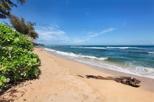 Islander on the Beach 352 OCEANFRONT *PENTHOUSE* AC Pool - image 20