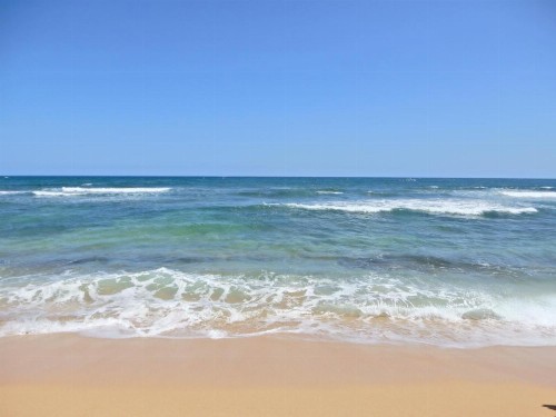 Islander on the Beach 352 OCEANFRONT *PENTHOUSE* AC Pool - image 23