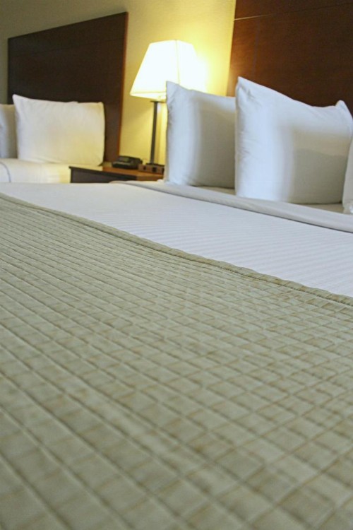 Southern Inn and Suites Kermit - image 14