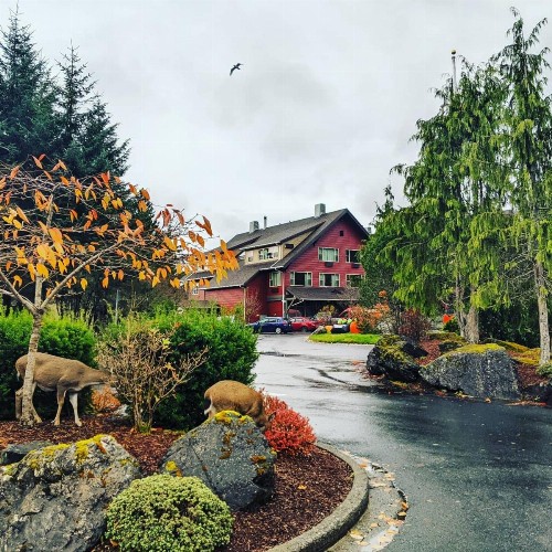 Cape Fox Lodge - image 2