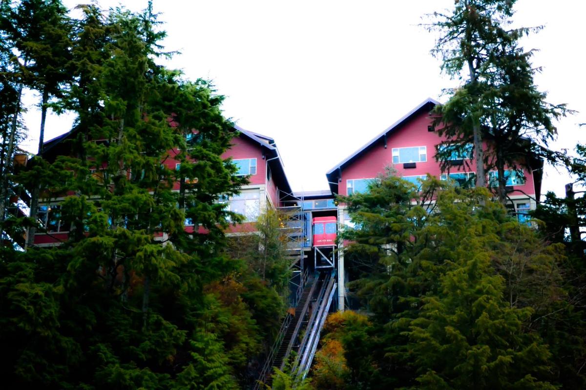 Cape Fox Lodge - image 7