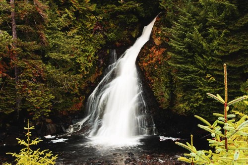 Salmon Falls Resort - image 29