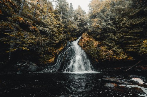 Salmon Falls Resort - image 34