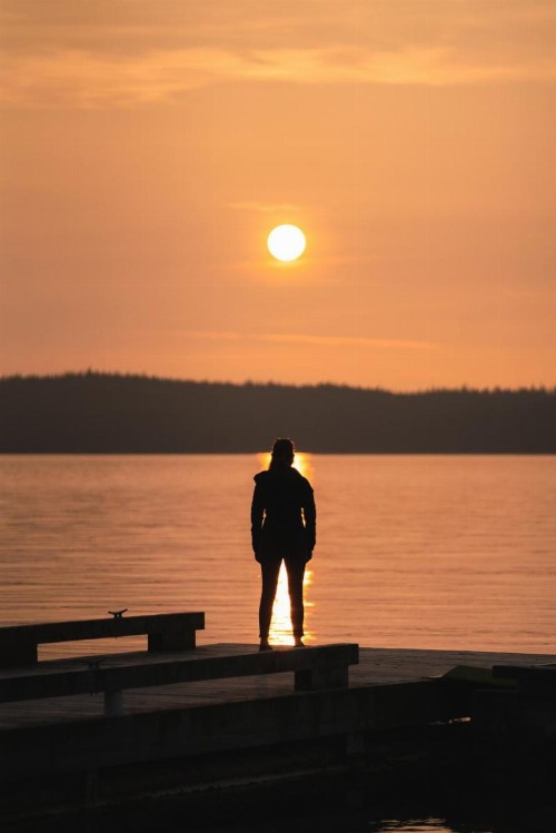 Salmon Falls Resort - image 5