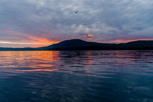 Salmon Falls Resort - image 9
