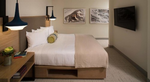 Limelight Hotel Ketchum - image 29