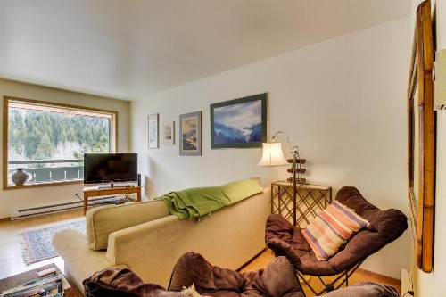 Limelight Base Camp Condo. Ski bike & adventure! - image 6