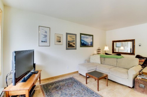 Limelight Base Camp Condo. Ski bike & adventure! - image 8
