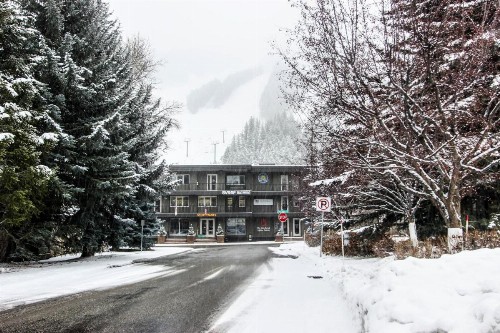 Greyhawk at the Ski Lifts -The Artisan - image 11