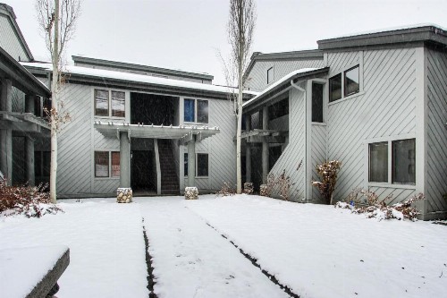 Greyhawk at the Ski Lifts -The Artisan - image 6